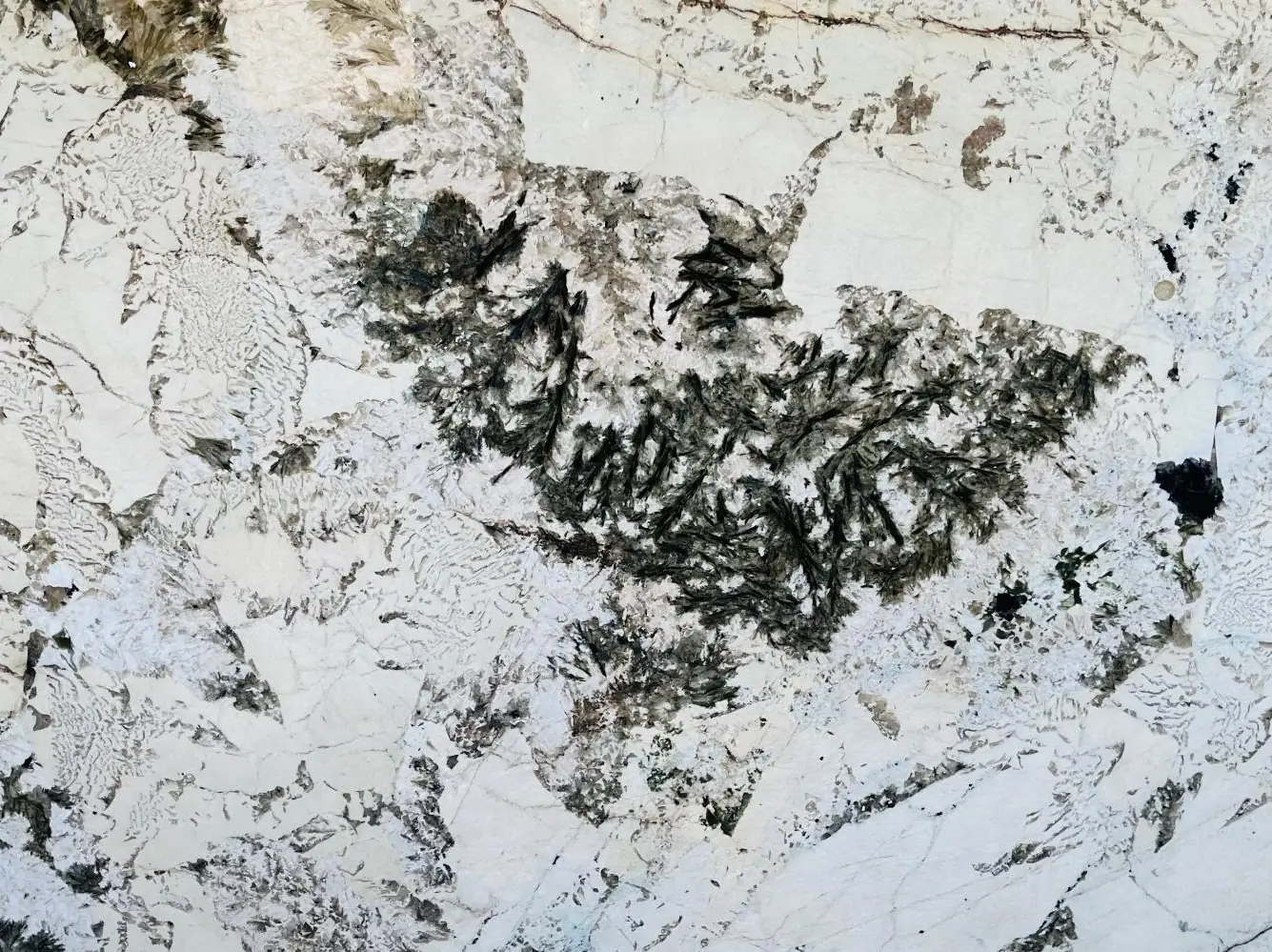 Alpinus Black Crystal